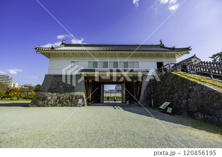 小田原城 銅門 神奈川県小田原市 小田原城 銅門 神奈川県小田原市 120856195
