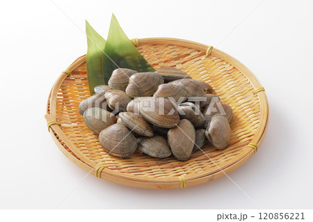 あさり あさり 120856221