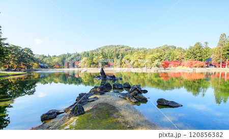秋　毛越寺浄土庭園　出島と池中立石　岩手県 120856382