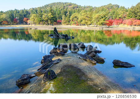 秋 毛越寺浄土庭園 出島と池中立石 岩手県 秋 毛越寺浄土庭園 出島と池中立石 岩手県 120856530