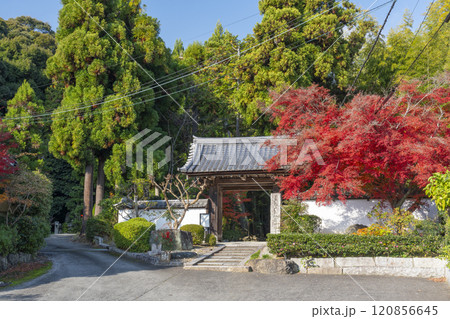秋の京都 正伝寺 紅葉に包まれた山門 秋の京都 正伝寺 紅葉に包まれた山門 120856645