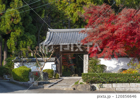 秋の京都　正伝寺　紅葉に包まれた山門 120856646