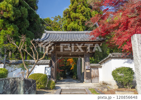 秋の京都 正伝寺 紅葉に包まれた山門 秋の京都 正伝寺 紅葉に包まれた山門 120856648
