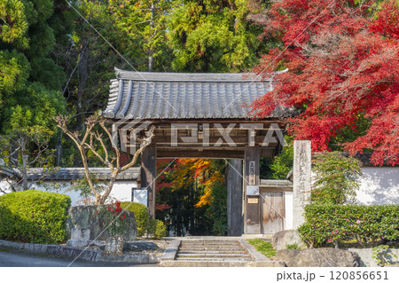 秋の京都　正伝寺　紅葉に包まれた山門 120856651