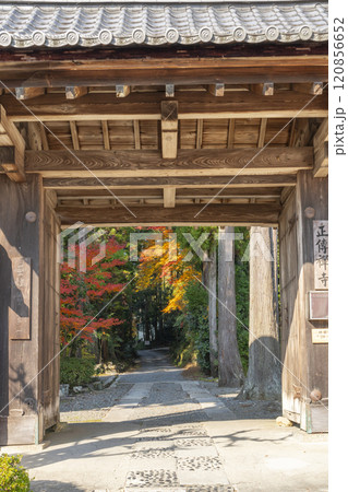 秋の京都　正伝寺　紅葉に包まれた山門 120856652