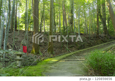 京都 正伝寺へ続く自然豊かな参道 京都 正伝寺へ続く自然豊かな参道 120856656