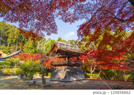 秋の京都　正伝寺　紅葉に包まれた鐘楼 120856662