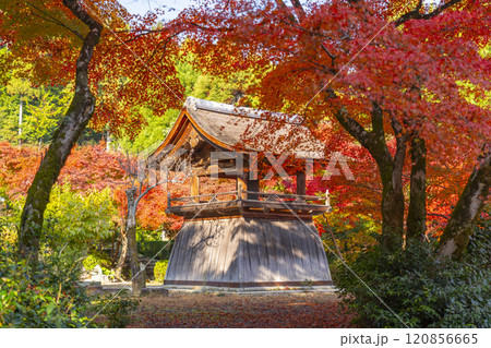 秋の京都 正伝寺 紅葉に包まれた鐘楼 秋の京都 正伝寺 紅葉に包まれた鐘楼 120856665