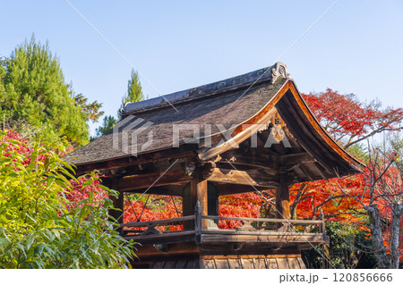 秋の京都 正伝寺 紅葉に包まれた鐘楼 秋の京都 正伝寺 紅葉に包まれた鐘楼 120856666