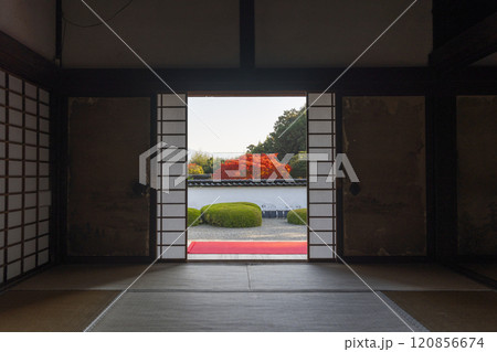 秋の京都　正伝寺　比叡山を借景にした「獅子の児渡し庭園」 120856674