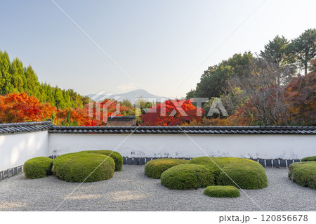 秋の京都　正伝寺　比叡山を借景にした「獅子の児渡し庭園」 120856678