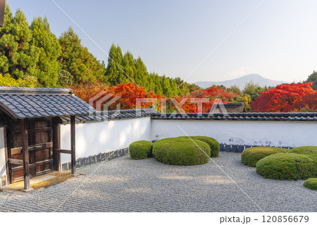 秋の京都　正伝寺　比叡山を借景にした「獅子の児渡し庭園」 120856679