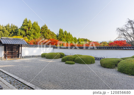 秋の京都 正伝寺 比叡山を借景にした「獅子の児渡し庭園」 秋の京都 正伝寺 比叡山を借景にした「獅子の児渡し庭園」 120856680