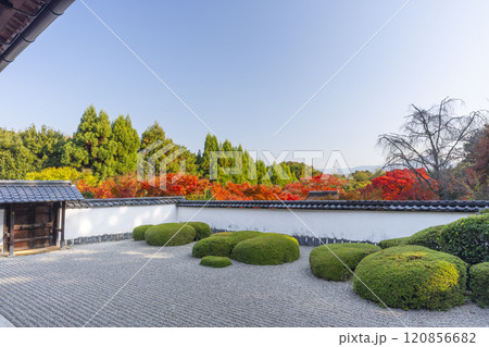 秋の京都　正伝寺　比叡山を借景にした「獅子の児渡し庭園」 120856682
