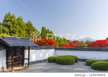 秋の京都　正伝寺　比叡山を借景にした「獅子の児渡し庭園」 120856684