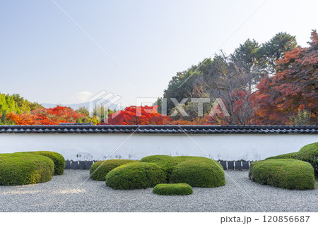 秋の京都 正伝寺 比叡山を借景にした「獅子の児渡し庭園」 秋の京都 正伝寺 比叡山を借景にした「獅子の児渡し庭園」 120856687