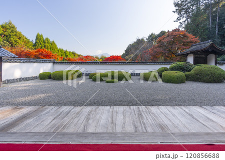 秋の京都　正伝寺　比叡山を借景にした「獅子の児渡し庭園」 120856688