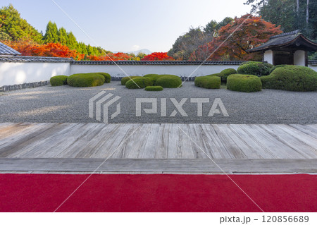 秋の京都　正伝寺　比叡山を借景にした「獅子の児渡し庭園」 120856689