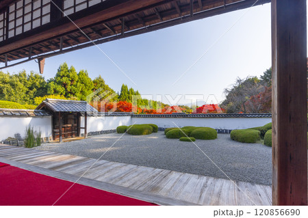 秋の京都 正伝寺 比叡山を借景にした「獅子の児渡し庭園」 秋の京都 正伝寺 比叡山を借景にした「獅子の児渡し庭園」 120856690