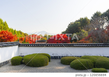 秋の京都 正伝寺 比叡山を借景にした「獅子の児渡し庭園」 秋の京都 正伝寺 比叡山を借景にした「獅子の児渡し庭園」 120856694