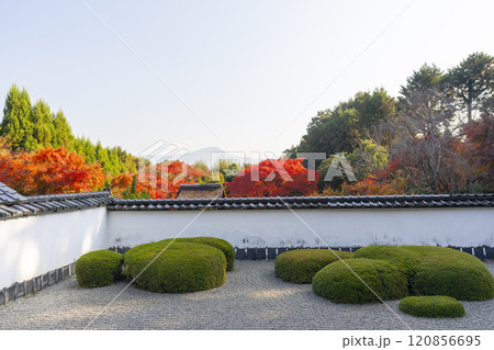 秋の京都 正伝寺 比叡山を借景にした「獅子の児渡し庭園」 秋の京都 正伝寺 比叡山を借景にした「獅子の児渡し庭園」 120856695