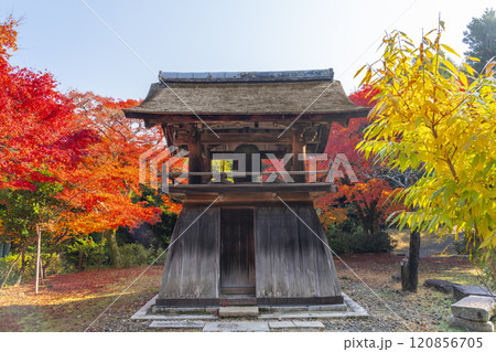 秋の京都　正伝寺　紅葉に包まれた鐘楼 120856705