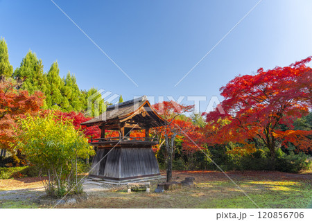 秋の京都　正伝寺　紅葉に包まれた鐘楼 120856706