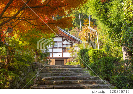 秋の京都　正伝寺　紅葉に包まれた庫裏 120856713