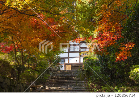 秋の京都　正伝寺　紅葉に包まれた庫裏 120856714