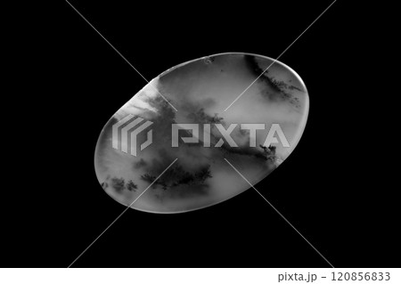 デンドリティック・アゲート 風景を宿す石 デンドリティック・アゲート 風景を宿す石 120856833