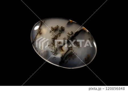 デンドリティック・アゲート 風景を宿す石 120856848