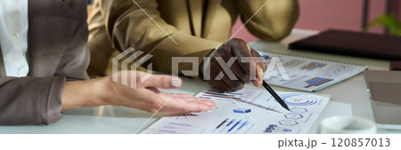 Discussing graphic data on paper 120857013