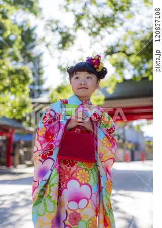 緑豊かな神社境内で七五三を祝う着物姿の女の子 緑豊かな神社境内で七五三を祝う着物姿の女の子 120857108
