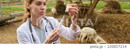 Veterinary doctor holding syringe Veterinary doctor holding syringe 120857214