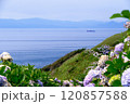 青森県、紫陽花の咲く竜飛岬から見る津軽海峡 120857588