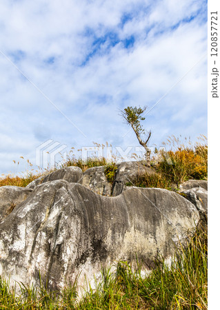 平尾台の秋景色・草紅葉　【福岡県北九州市】 120857721