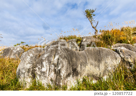 平尾台の秋景色・草紅葉　【福岡県北九州市】 120857722