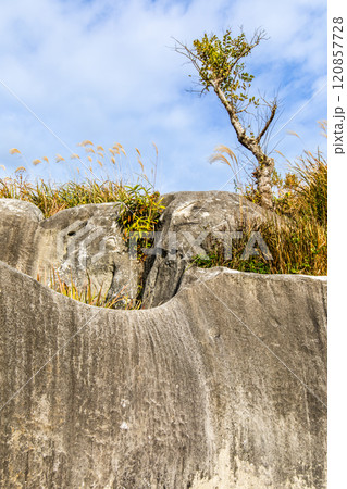 平尾台の秋景色・草紅葉　【福岡県北九州市】 120857728