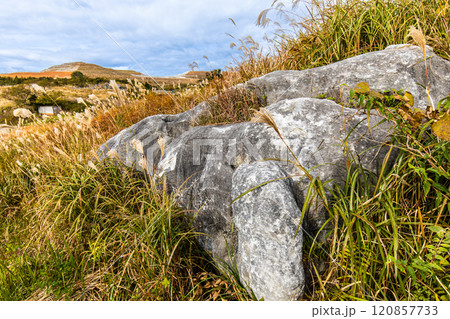 平尾台の秋景色・草紅葉　【福岡県北九州市】 120857733