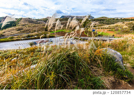 平尾台の秋景色・草紅葉　【福岡県北九州市】 120857734