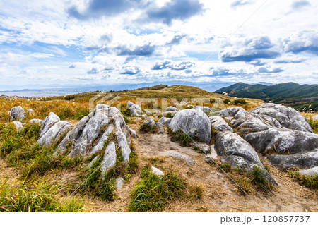 平尾台の秋景色・草紅葉　【福岡県北九州市】 120857737