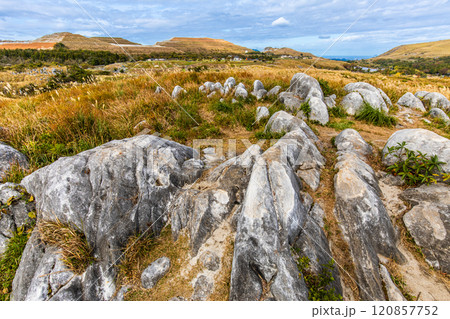 平尾台の秋景色・草紅葉　【福岡県北九州市】 120857752