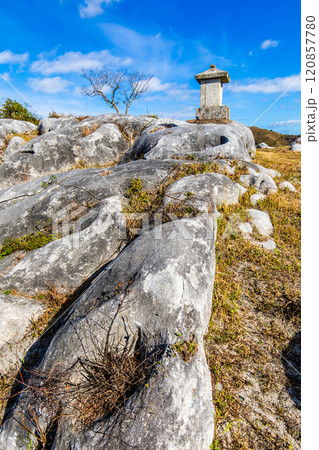 平尾台の秋景色・草紅葉　【福岡県北九州市】 120857780
