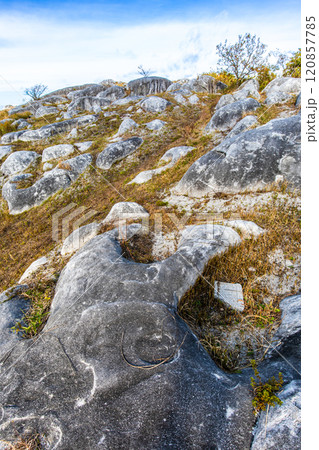 平尾台の秋景色・草紅葉　【福岡県北九州市】 120857785