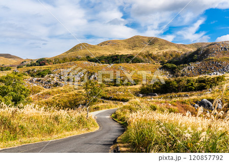 平尾台の秋景色・草紅葉　【福岡県北九州市】 120857792