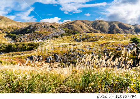 平尾台の秋景色・草紅葉　【福岡県北九州市】 120857794