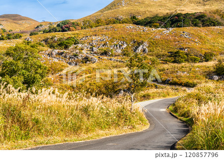 平尾台の秋景色・草紅葉　【福岡県北九州市】 120857796