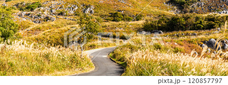 平尾台の秋景色・草紅葉　パノラマ　【福岡県北九州市】 120857797