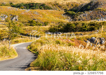 平尾台の秋景色・草紅葉　【福岡県北九州市】 120857798