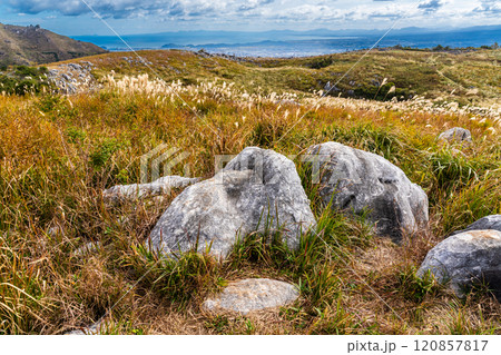 平尾台の秋景色・草紅葉　【福岡県北九州市】 120857817